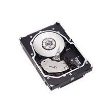 IBM ST336754LW IBM - 36.4 GB 15K rpm Ultra320 SCSI HDD