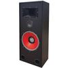 BIC America RTR-EV15 15-Inch 3-Way Eviction Series Bi-Ampable Floor Speaker with High-Efficiency Horn Tweeter view 1