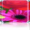 Skinit Protective Skin for iPod Classic 6G (Bouquet) view 1
