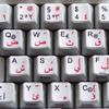 4Keyboard German-Arabic Non-Transparent Keyboard Stickers White Background for Desktop, Laptop and Notebook view 1