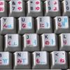 Japanese Hiragana-Korean-English Non-Transparent Keyboard Sticker ON White Background for Desktop, Laptop and Notebook view 1