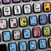 New ABLETON Live Keyboard Stickers view 4