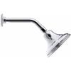 KOHLER 10391-AK-PB Devonshire Single-Function Showerhead, Single Spray Setting, 5-15/16" Sprayface, 2.5 GPM, Vibrant Polished Brass view 2
