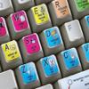 4Keyboard NEW CREO Pandora Keyboard Sticker for Laptop, Desktop and Notebook view 3
