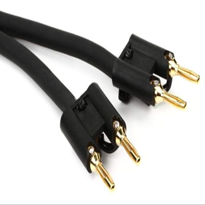 Proco S12BB-20 Banana-Banana Speaker Cable - 20 Feet