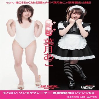 ako/kyunkyun (Gravure) mobakon (Kickstand Feature, Cell Phone, Content with SD Card) ctgr 309201