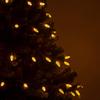 Wintergreen Lighting 24 ft 70 Count C6 Faceted Gold LED Christmas Lights, Green Wire Indoor/Outdoor Commercial Grade String for Holiday Decor view 4