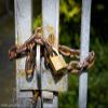 ABUS 55/60 Solid Brass Padlock with 2 Keys for School, Gym view 2