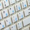 4Keyboard MAC Croatian/Slovenian - English Non-Transparent Keyboard Sticker ON White Background for Laptop, Desktop and Notebook view 3
