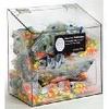 Horizon Manufacturing 5133 300-Pair Foam Ear Plug Dispenser with Lid - Clear Plastic view 1