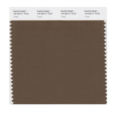 PANTONE Smart 19-0617X Color Swatch Card, Teak