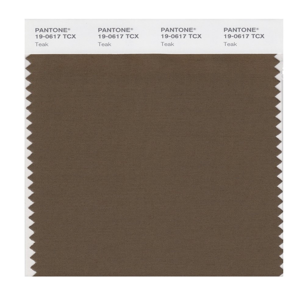 PANTONE Smart 19-0617X Color Swatch Card, Teak