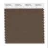 PANTONE Smart 19-0617X Color Swatch Card, Teak view 1