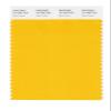 PANTONE Smart 15-1062X Color Swatch Card, Gold Fusion view 1
