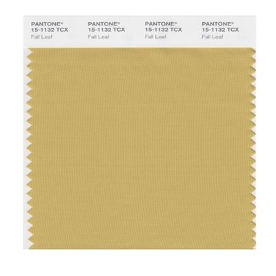 PANTONE Smart 15-1132X Color Swatch Card, Fall Leaf