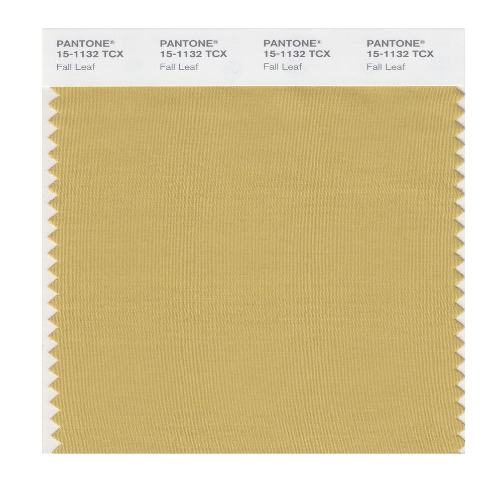 PANTONE Smart 15-1132X Color Swatch Card, Fall Leaf