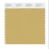 PANTONE Smart 15-1132X Color Swatch Card, Fall Leaf view 1