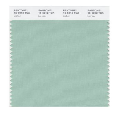 PANTONE Smart 15-5812X Color Swatch Card, Lichen
