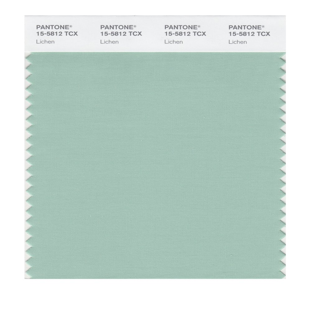 PANTONE Smart 15-5812X Color Swatch Card, Lichen