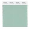 PANTONE Smart 15-5812X Color Swatch Card, Lichen view 1