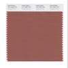 PANTONE Smart 18-1336X Color Swatch Card, Copper Brown view 1