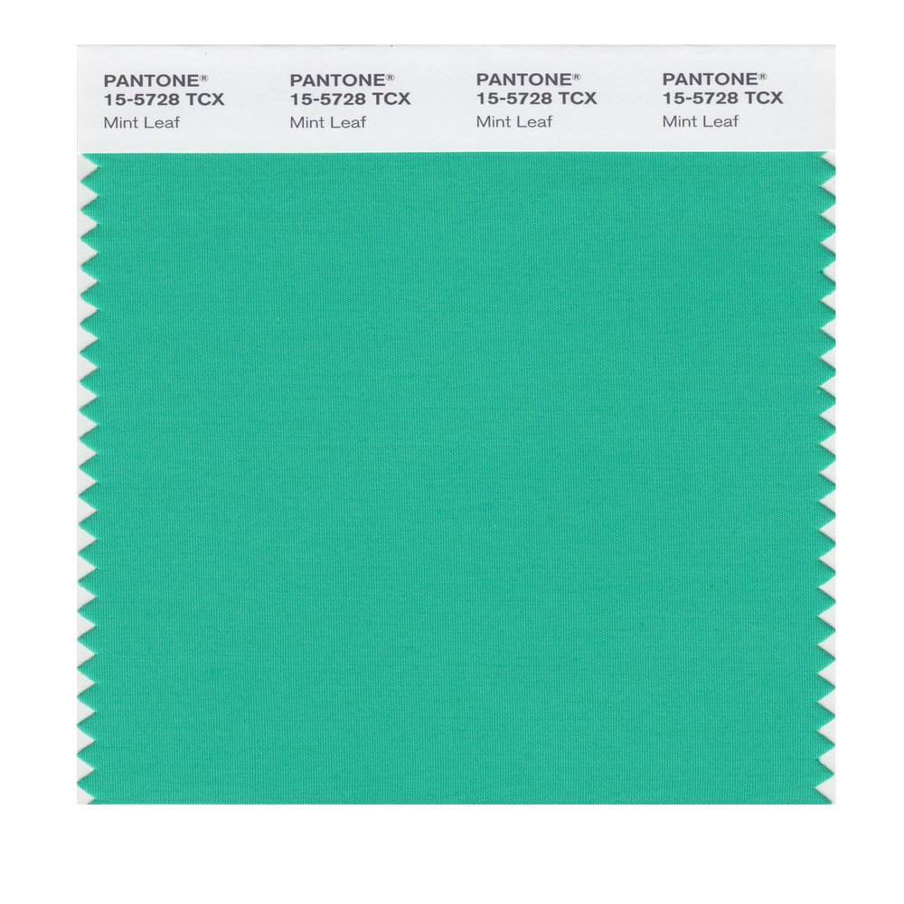 PANTONE Smart 15-5728X Color Swatch Card, Mint Leaf