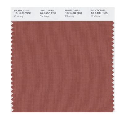 PANTONE Smart 18-1433X Color Swatch Card, Chutney