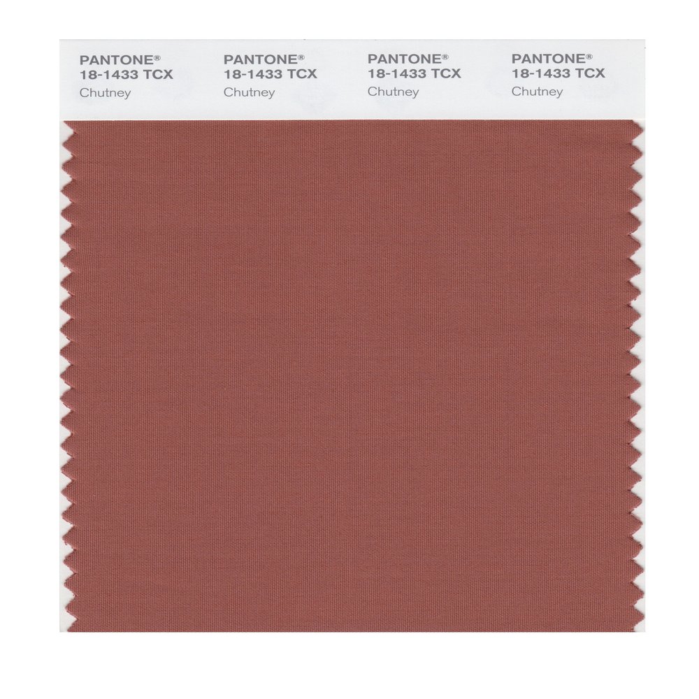 PANTONE Smart 18-1433X Color Swatch Card, Chutney