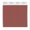 PANTONE Smart 18-1433X Color Swatch Card, Chutney view 1