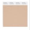 PANTONE Smart 14-1213X Color Swatch Card, Toasted Almond view 1