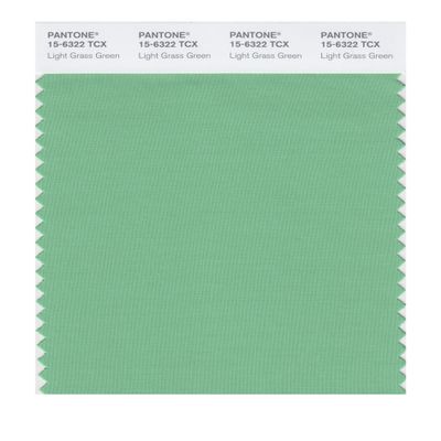 PANTONE Smart 15-6322X Color Swatch Card, Light Grass Green