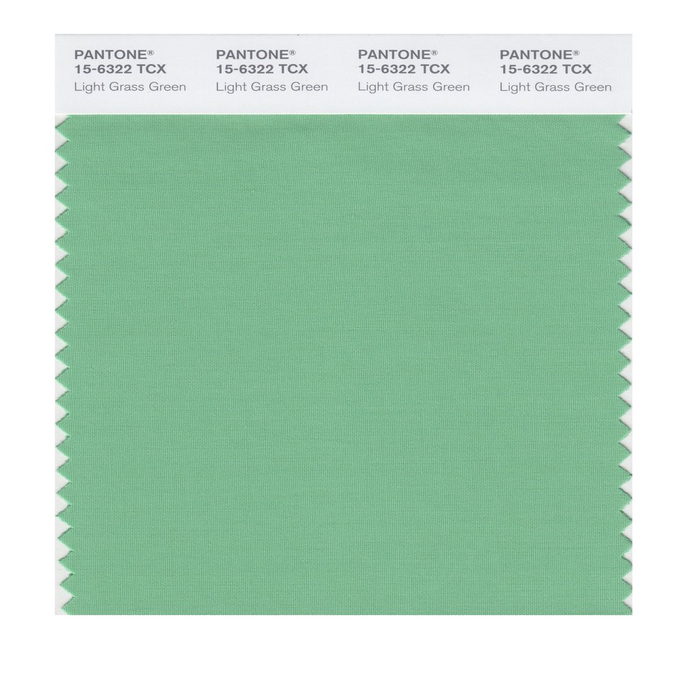 PANTONE Smart 15-6322X Color Swatch Card, Light Grass Green