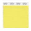 PANTONE Smart 12-0738X Color Swatch Card, Yellow Cream view 1