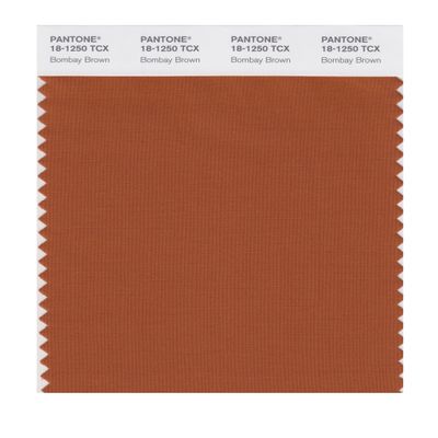 PANTONE Smart 18-1250X Color Swatch Card, Bombay Brown