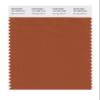 PANTONE Smart 18-1250X Color Swatch Card, Bombay Brown view 1