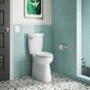 KOHLER 37054-Bn Alteo Pivoting Toilet Paper Holder, Brushed Nickel view 2
