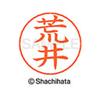 Shachihata Nemupen for name Silver ready-made Arai X-GPS view 3