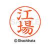 Shachihata Nemupen for the name Silver ready-made Eva X-GPS view 3