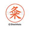 Shachihata Nemupen for the name Silver ready-made Kume X-GPS view 3