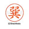 Shachihata Nemupen for the name Silver ready-made Tatsumi X-GPS view 3