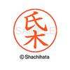 Shachihata Nemupen for the name Silver ready-made Mr. tree X-GPS view 3