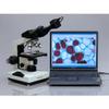 AmScope B490A Compound Binocular Microscope, WF10x and WF16x Eyepieces, 40X-1600X Magnification, Brightfield, Halogen Illumination, Abbe Condenser, Double-Layer Mechanical Stage, Sliding Head, High-Resolution Optics, Anti-Mold view 2