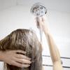 Speakman VS-3014 Caspian Anystream Multi-Function Handheld Shower Head, 2.5 GPM, Polished Chrome view 3