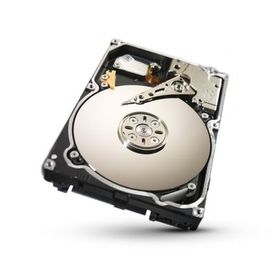 Seagate 1TB Constellation SATA 6Gb/s 64MB Cache 2.5-Inch Internal Bare Drive (ST91000640NS)
