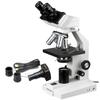 AmScope B100-M Digital Compound Binocular Microscope, 40X-1000X Magnification, Brightfield, Tungsten Illumination, Abbe Condenser, Plain Stage, Includes 1.3MP Camera with Reduction Lens and Software view 1