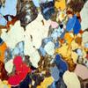 AmScope PZ200BA Polarizing Binocular Microscope, WF10x and WF16x Eyepieces, 40X-640X Magnification, Strain-Free Plan Achromatic Objectives, Polarizing and Brightfield Configurations, Halogen Illumination, Bertrand Lens, Abbe Condenser, Round Graduate view 4