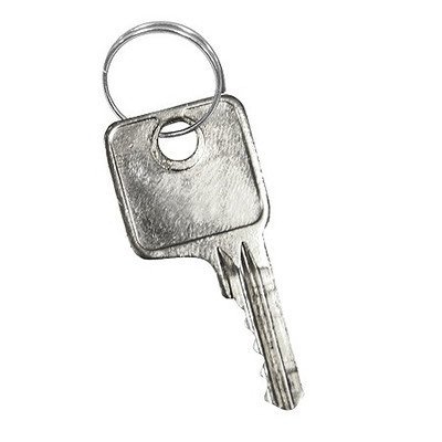Master Control Key for Designer Wood Locker