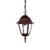 Acclaim 4006BW Builder's Choice Collection 1-Light Outdoor Hanging Lantern, Burled Walnut view 1