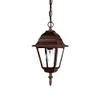 Acclaim 4006BW Builder's Choice Collection 1-Light Outdoor Hanging Lantern, Burled Walnut view 2