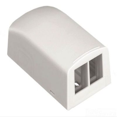 PANDUIT NK2BXIW-A 2PORT, Off White, Surface Mount Box